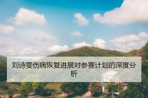 刘诗雯伤病恢复进展对参赛计划的深度分析