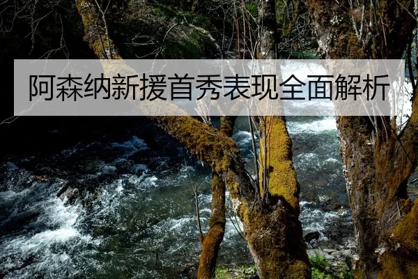 阿森纳新援首秀表现全面解析